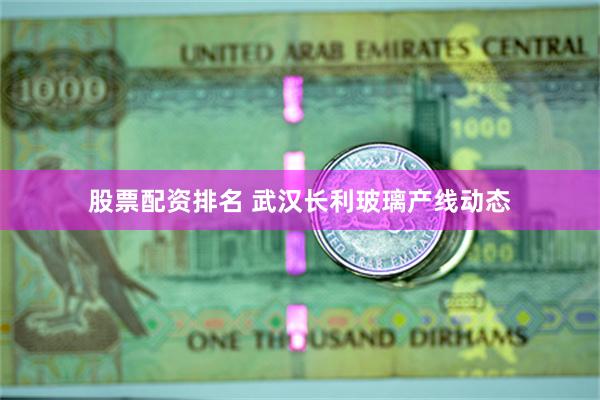 股票配资排名 武汉长利玻璃产线动态