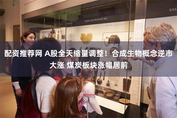 配资推荐网 A股全天缩量调整！合成生物概念逆市大涨 煤炭板块涨幅居前