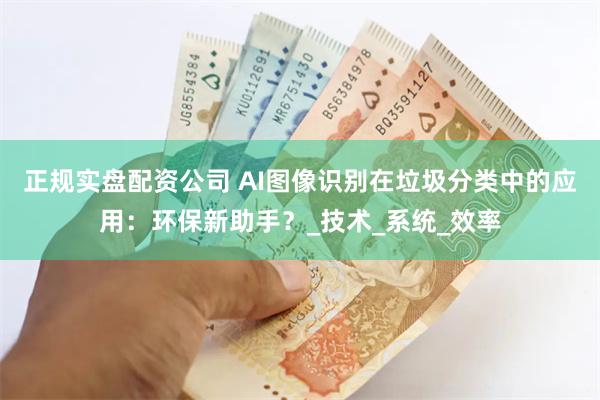 正规实盘配资公司 AI图像识别在垃圾分类中的应用：环保新助手？_技术_系统_效率