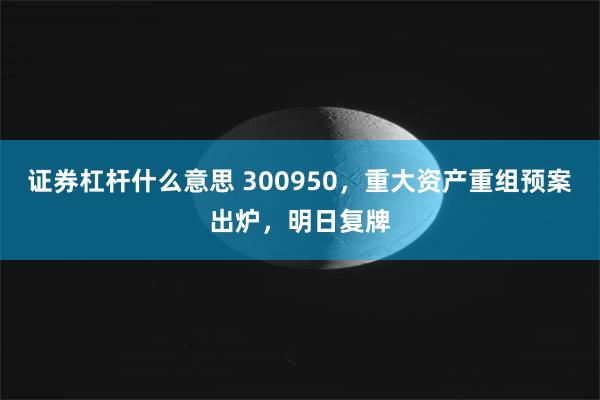 证券杠杆什么意思 300950，重大资产重组预案出炉，明日复牌