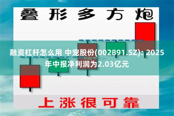 融资杠杆怎么用 中宠股份(002891.SZ): 2025年中报净利润为2.03亿元