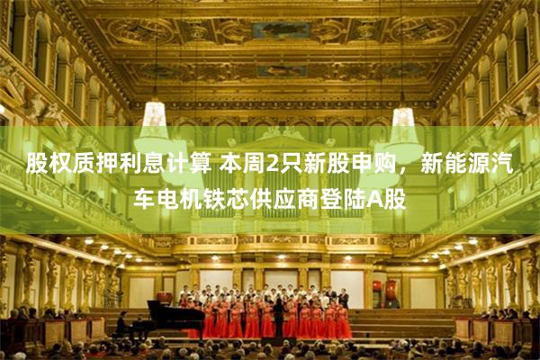 股权质押利息计算 本周2只新股申购，新能源汽车电机铁芯供应商登陆A股