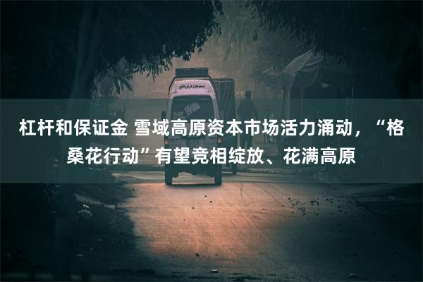 杠杆和保证金 雪域高原资本市场活力涌动，“格桑花行动”有望竞相绽放、花满高原