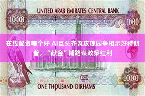 在线配资哪个好 AI巨头齐聚玫瑰园争相示好特朗普，“献金”铺路谋政策红利