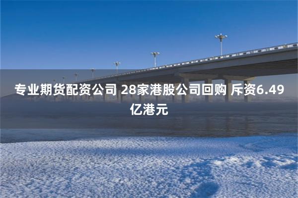 专业期货配资公司 28家港股公司回购 斥资6.49亿港元