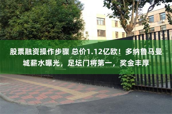 股票融资操作步骤 总价1.12亿欧!多纳鲁马曼城薪水曝光,足坛门将第一,奖金丰厚