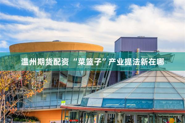 温州期货配资 “菜篮子”产业提法新在哪