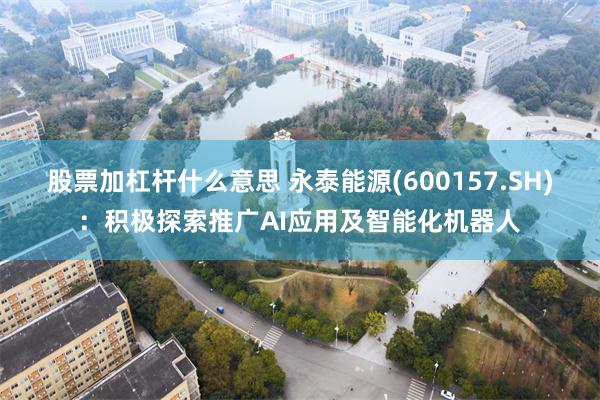股票加杠杆什么意思 永泰能源(600157.SH)：积极探索推广AI应用及智能化机器人